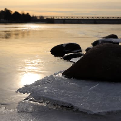 Joen kivikkoista rantaa syksyisessä auringonpaisteessa, kiviin on muodostunut jäätä.