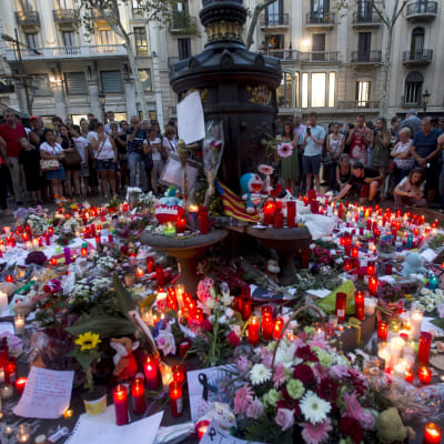 Ett blomhav vid Font de Canaletas i Barcelona, till minnet av offren i terrorattacken den 17.8.2017.