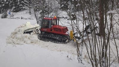 Bandtraktor plogar snö för skidspår.