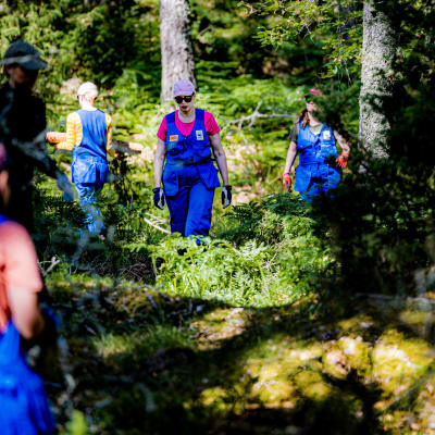 Talko arbetare i skogen