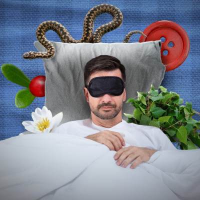 Kollaasikuva nukkuvasta henkilöstä, jonka tyynyn alta pilkottaa lumpeenkukka, vihta, nappi, kyykäärme ja sianpuolukka.