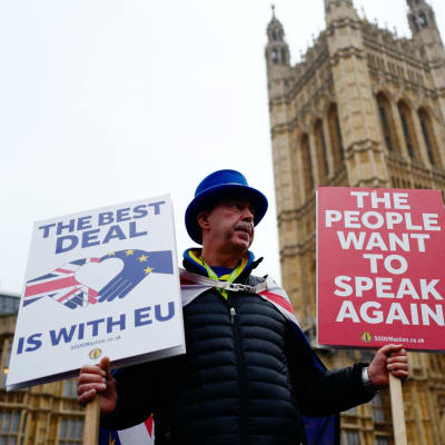 Brexit-demonstrant utanför Westminster.
