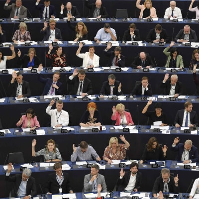 Euroopan parlamentin kokous sali Strasbourgissa. Kokousedustajat äänestävät.