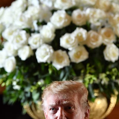Donald Trump i Mar a Lago framför en jättebukett vita blommor i vas.