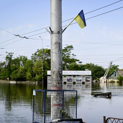 Översvämmat område i Ukraina