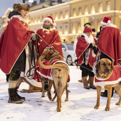 Jouluvalot syttyivät Helsingin Aleksanterinkadulla ja aloittivat jouluun valmistautumisen.