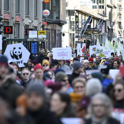 Folkmassa med plakat om skogen och klimatet, längs med Alexandersgatan i Helsingfors.