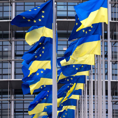 Både Europeiska unionens och Ukrainas flagga i topp. 