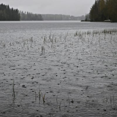 Sadetta Keuruun Huhkojärvellä 30. syyskuuta 2023. 