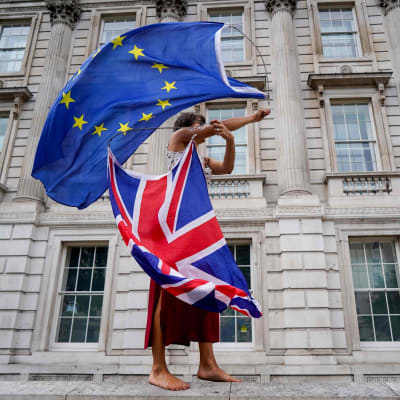 Brexitdemonstrant som viftar med flaggor.