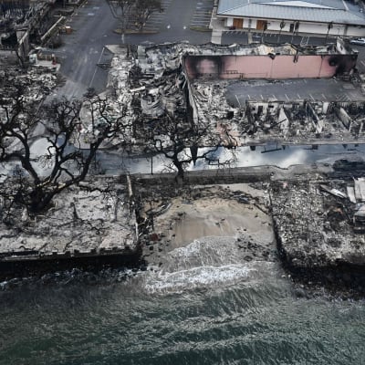 En strandbulevard som har förstörts av eld. Husen är förstörda och träden kolsvarta. I mitten går en väg.