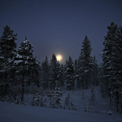 Kuu paistaa taivaalta pakkasyönä Inarissa 27. marraskuuta 2023.