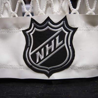 NHL-logo på en målbur.