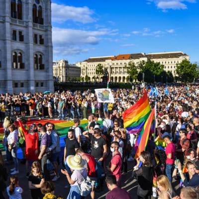 Tusentals människor med regnbågsflaggor demonstrerade mot det tilltänkta lagpaketet utanför parlamentsbyggnaden i Budapest på måndagen.