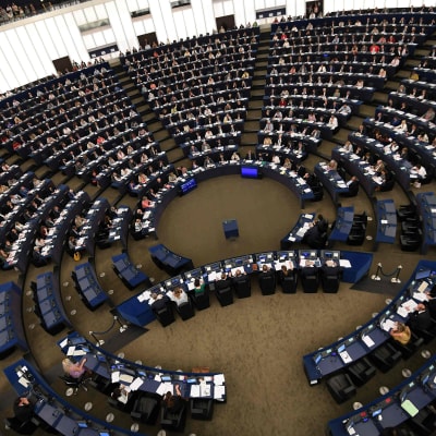 EU-parlamentariker i session i Strasbourg 14.6.2017.