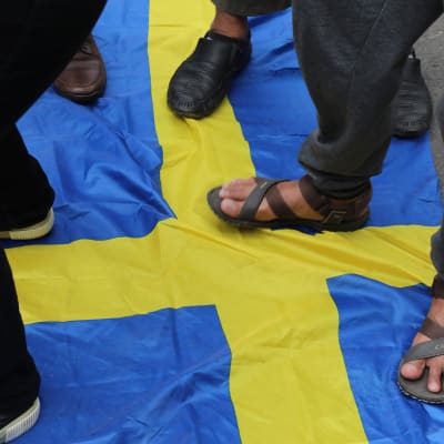 Aktivister trampar på den svenska flaggan utanför svenska ambassaden i Jakarta.
