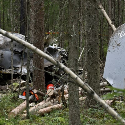 Rester av det störtade Hawk-planet i skogen.