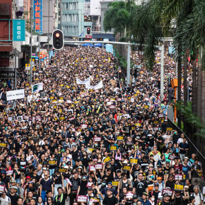 Demonstranterna gräver att Hongkong regeringschef Carrie Lam avgår. 