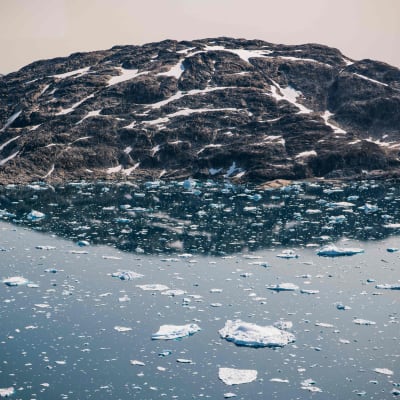 Isflak eller isberg i havet framför en delvis snötäckt klippa eller ett berg. Östra Grönland den 15 augusti 2019.