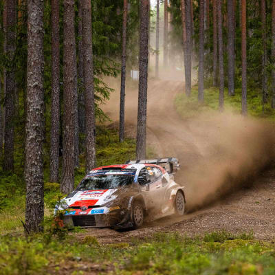 Kalle Rovanperä kör bil.