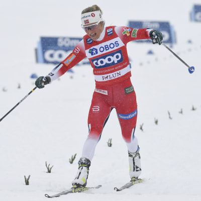 Therese Johaug åker i mål i världscuptävlingen i Falun.
