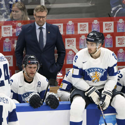 Leijonilla riittää mietittävää.