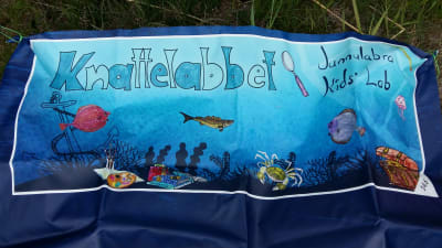 En blå banderoll med fiskar, krabbor, ankare, skattkista och texten Knattelabbet.