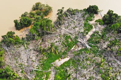 Tuhoutunut Amazonin sademetsä