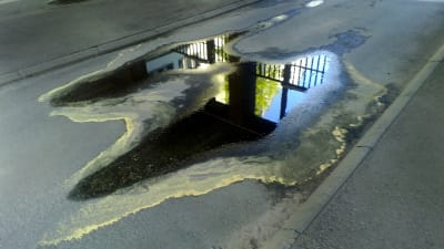 Pollenkantad vattenpöl efter regn.