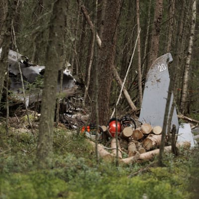 Osa pudonneen Hawk-koneen runkoa ja sen peräsintä metsässä puitten seassa.
