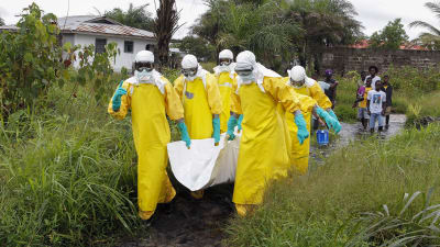 24 misstänkta fall av ebola har påträffats i Kongo-Kinshasa, 23 på landsbygden och ett fall i storstaden Mbandaka. Bilden är från Liberia år 2014