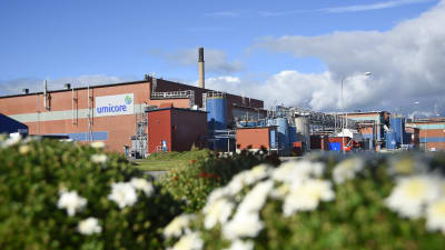 Fabrik och blå himmel coh blommor.
