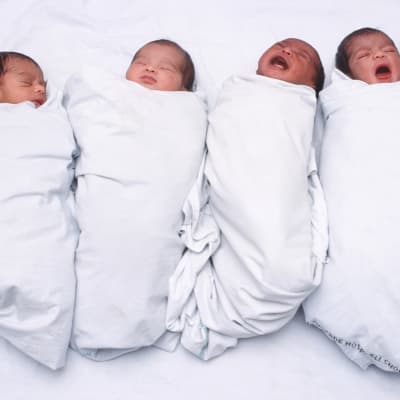 Fyra nyfödda bebisar ligger på rad på en säng.