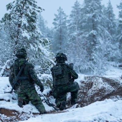 Kaksi maastoasuista sotilasta odottaa aseistautuneina polvillaan lumisella metsätiellä.