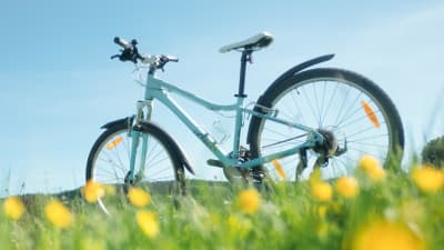 I förgrunden blommor, i bakgrunden en cykel.