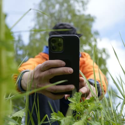 Henkilö osoittaa puhelimen kameralla kohti kasveja.