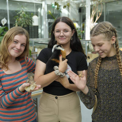Tre unga flickor poserar framför kameran med varsitt litet djur i famnen eller handen. 