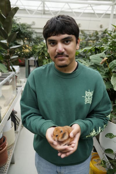 Hamza Naeemi ja hamsteri.