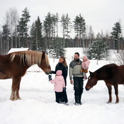Jalkasten nelihenkinen perhe kahden hevosen kanssa Eläinsuojelukeskus Tarinoiden Tilalla Mäntyharjulla.