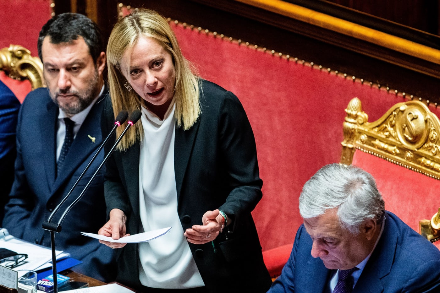 Una politica donna che tiene un discorso in Parlamento