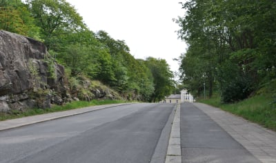Den asfalterade gatan Jungfrustigen i Åbo. På sidorna ser man gröna lummiga träd. 
