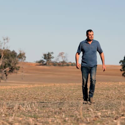 Spannmålsodlaren Rhys Turton promenerar på sin tomma kornåker i västra Australien