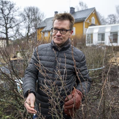 Toimitusjohtaja Timo Taulavuori, Puutarhaliitto