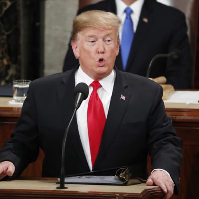 USA:s president Donald Trump höll sitt försenade tal till nationen i natt