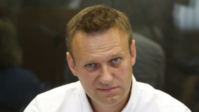 Den ryske oppositionsledaren Aleksej Navalnyj inför domstol i Moskva 1.8.2016