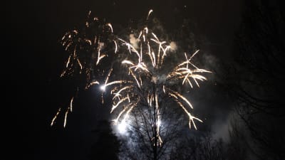 Nyårsraketer i Pojo i Raseborg