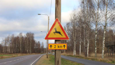 Trafikmärke som varnar för hjortar vid Tenalavägen i Österby