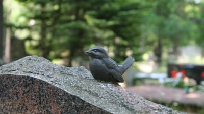 Bronsfågel på gravsten