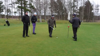 Tapio Järvinen, Svante Nyholm, Kari Collin och Jukka Niemelä spelar golf på en grön gräsmatta i Hangö. Det exceptionella är att det här sker i början av januari 2018.