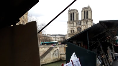 Bild av Notre-Dame